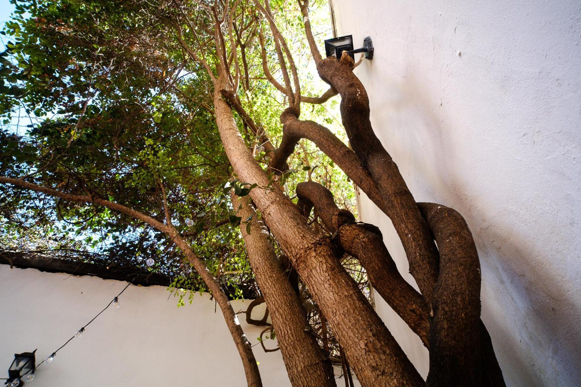 Casa Messe Villa Palermo Luaran gambar
